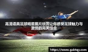 [法甲]第16轮：欧塞尔3-4里尔 集锦